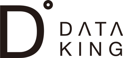 데이터킹
